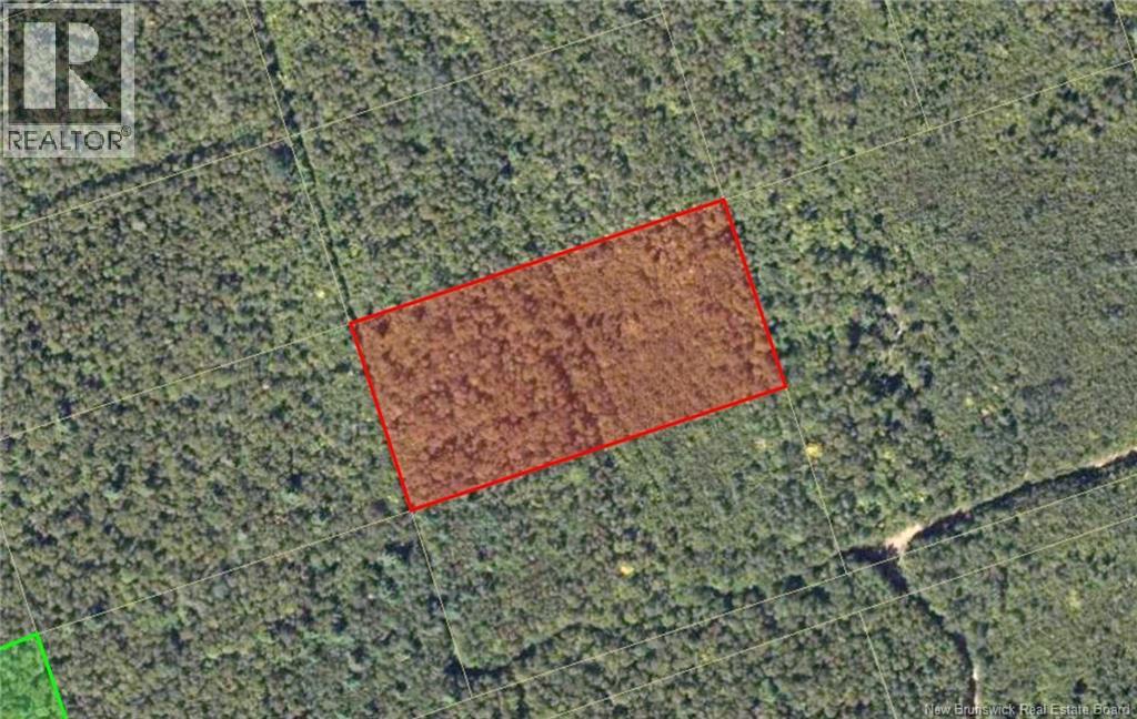 Recreational Lot 1 Green Road Property Photo 3