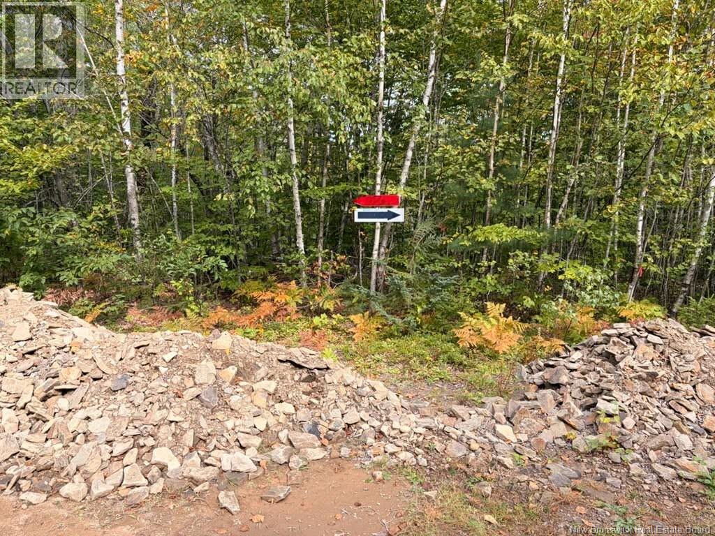 Recreational Woodlot Green Road Property Photo 1