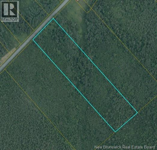 Land South Black River Road Property Photo 1