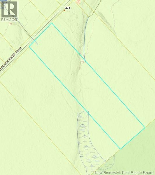 Land South Black River Road Property Photo 2