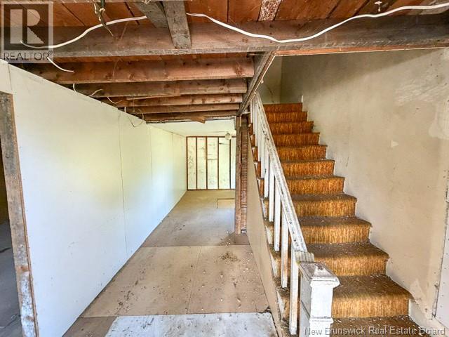 5 Beech Glen Road Property Photo 5