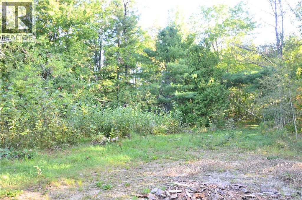 137 Harvey Road Property Photo 28