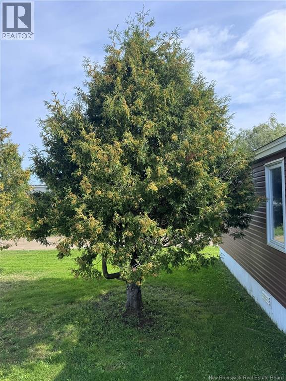 5293 Route 117 Property Photo 7