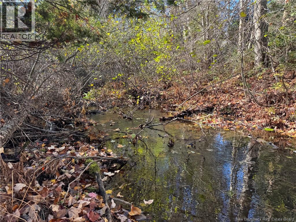 18.28 Hec Route 108 Property Photo 2