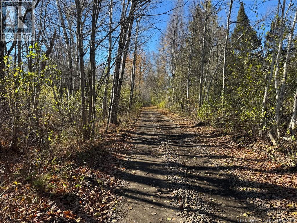18.28 Hec Route 108 Property Photo 4