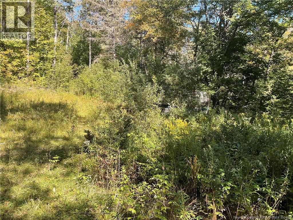 449 Harriet Oree Road Property Photo 3