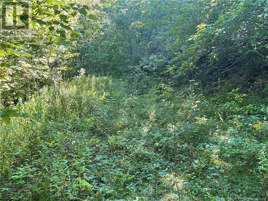 449 Harriet Oree Road Property Photo 10