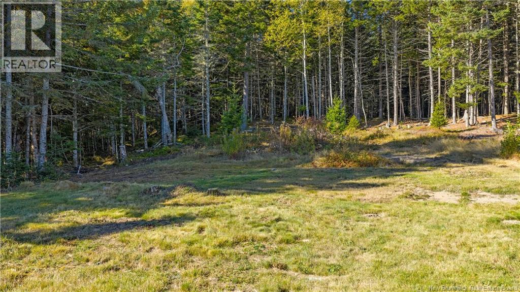 338 Route 176 Property Photo 38