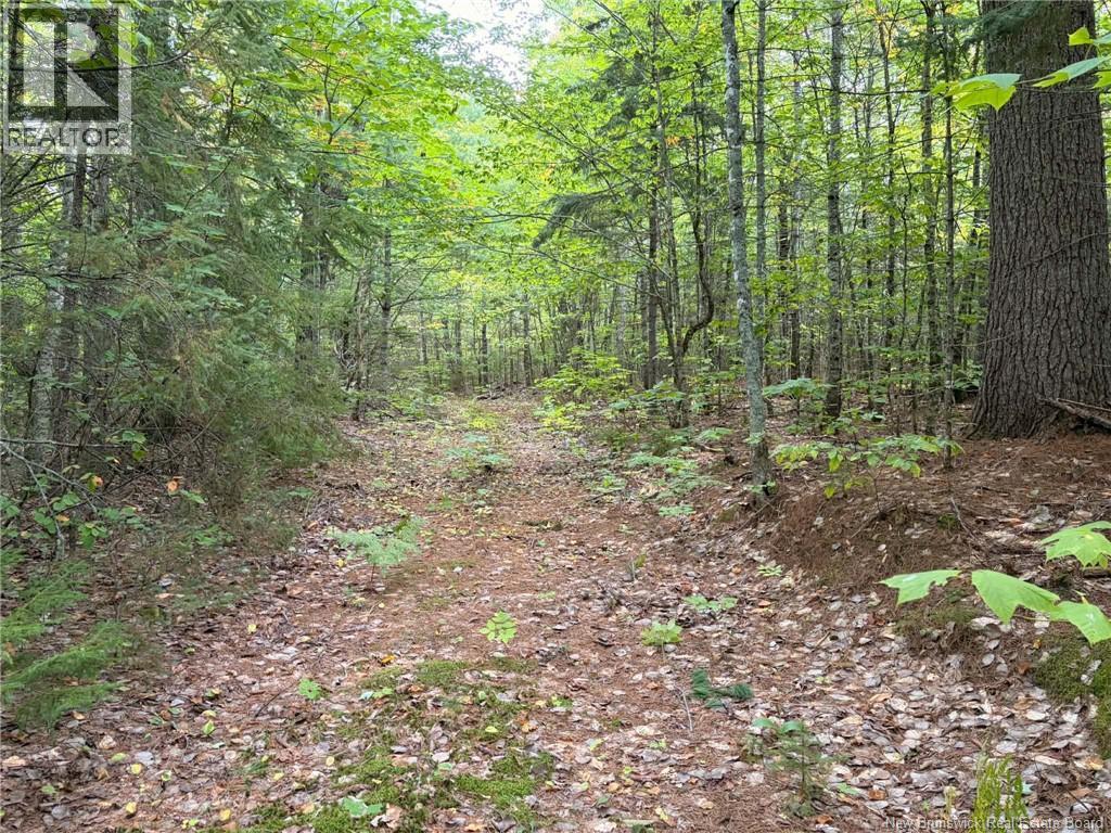 Don's Lot Green Road Property Photo 1