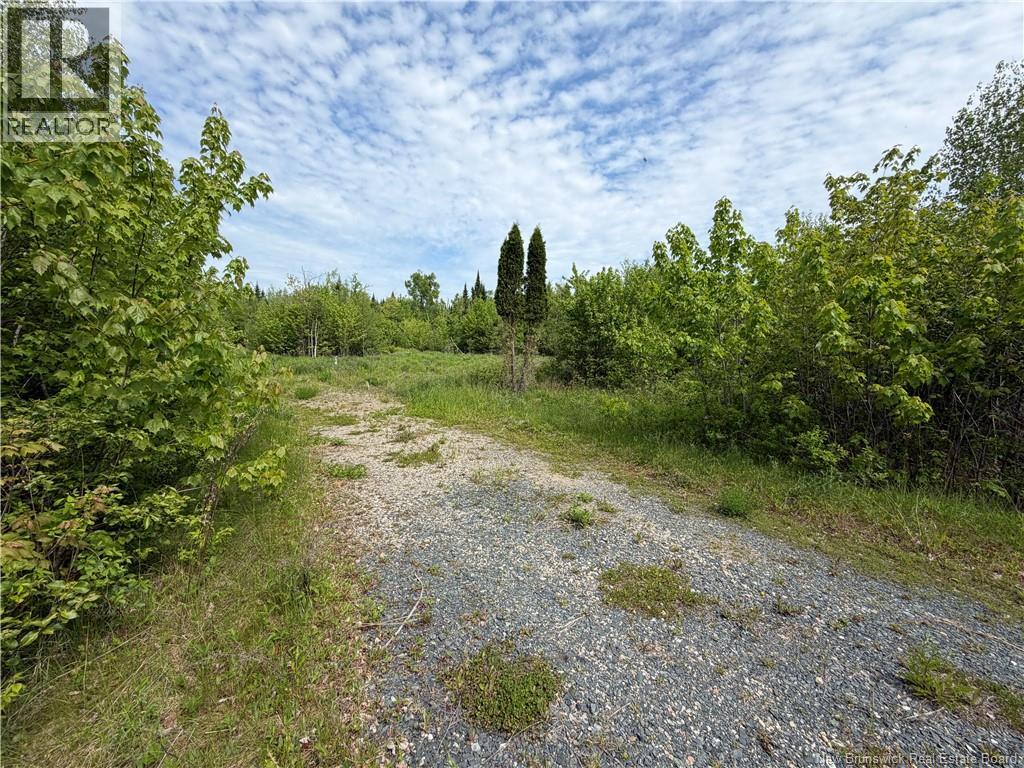 225 South Black River Road Property Photo 1
