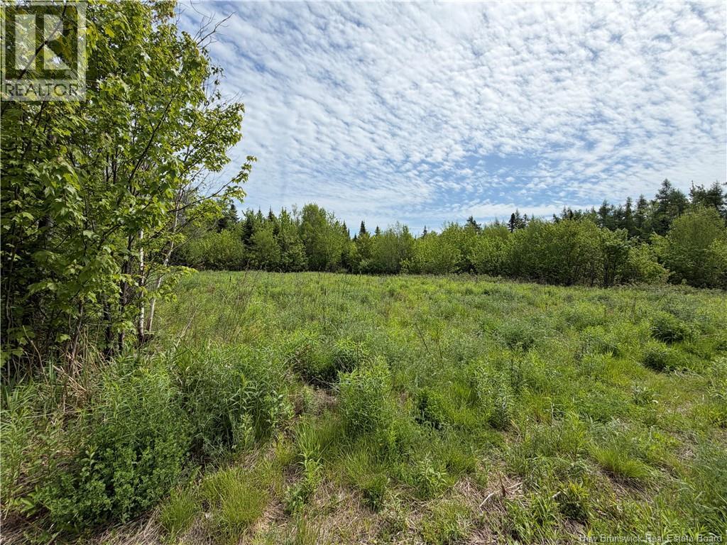 225 South Black River Road Property Photo 2