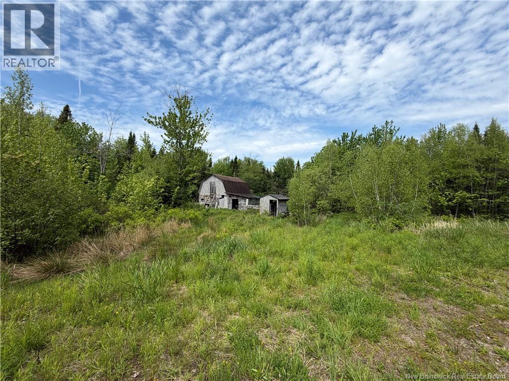 225 South Black River Road Property Photo 3