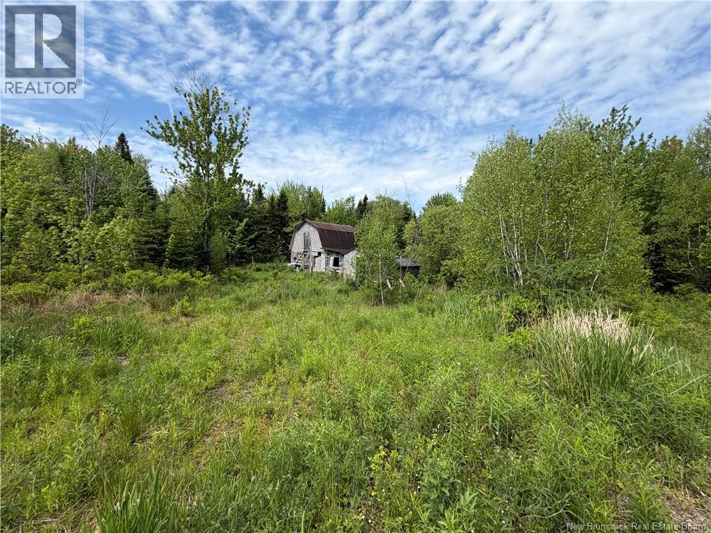 225 South Black River Road Property Photo 4