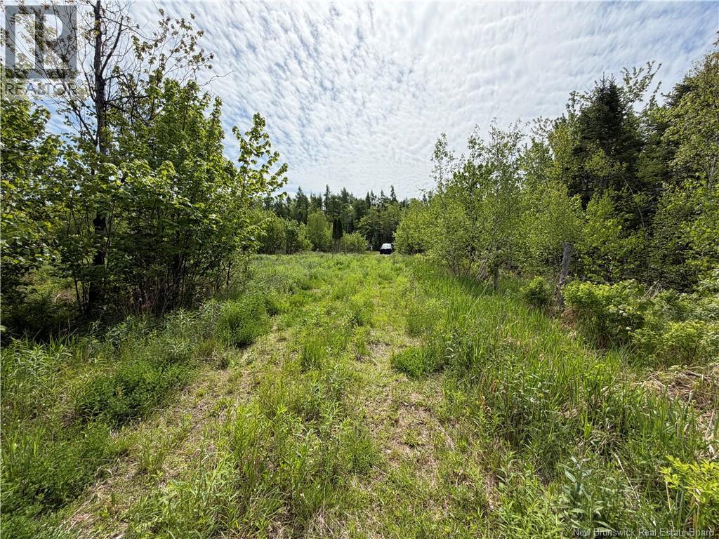 225 South Black River Road Property Photo 12
