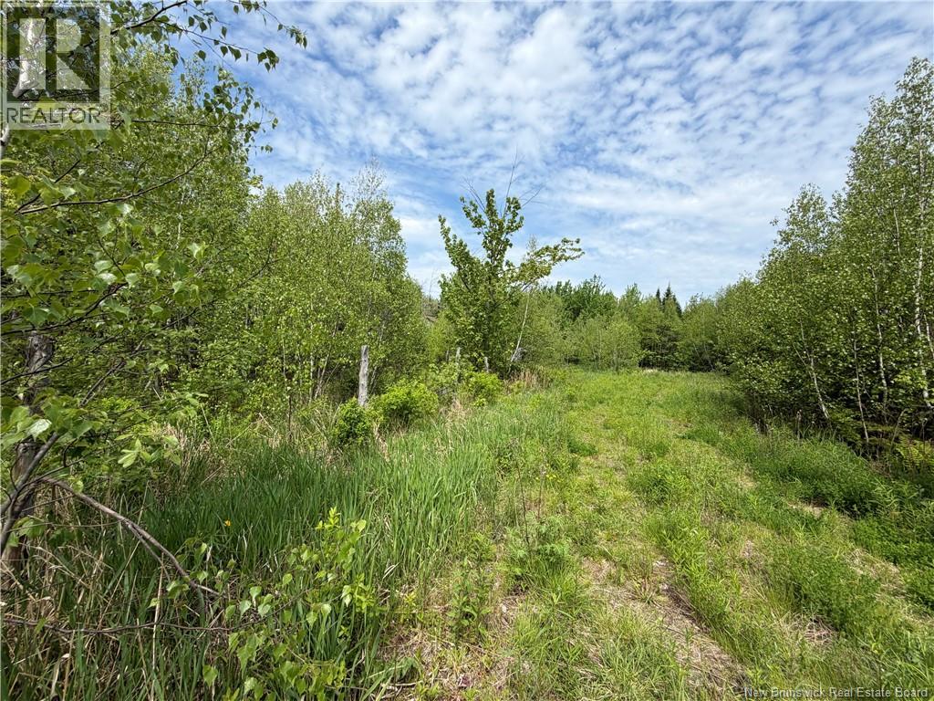 225 South Black River Road Property Photo 13