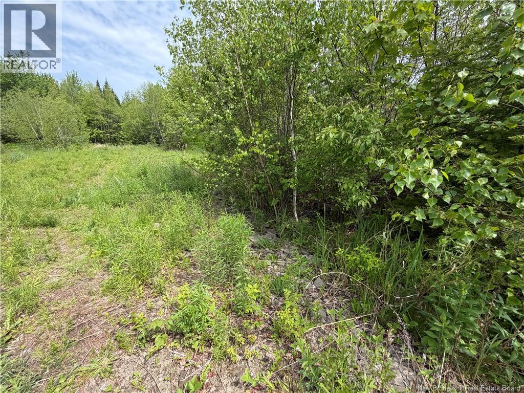 225 South Black River Road Property Photo 14
