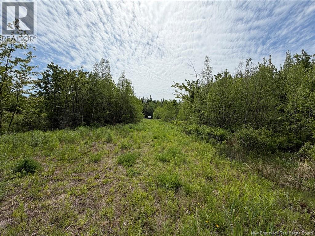 225 South Black River Road Property Photo 15