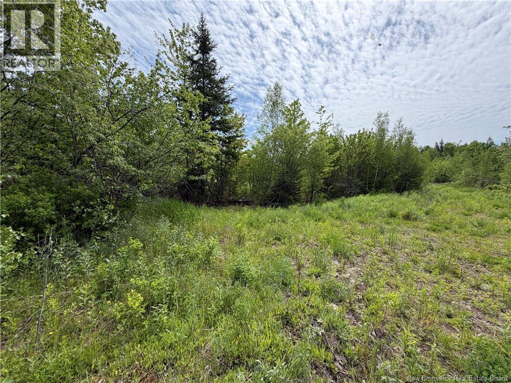 225 South Black River Road Property Photo 16