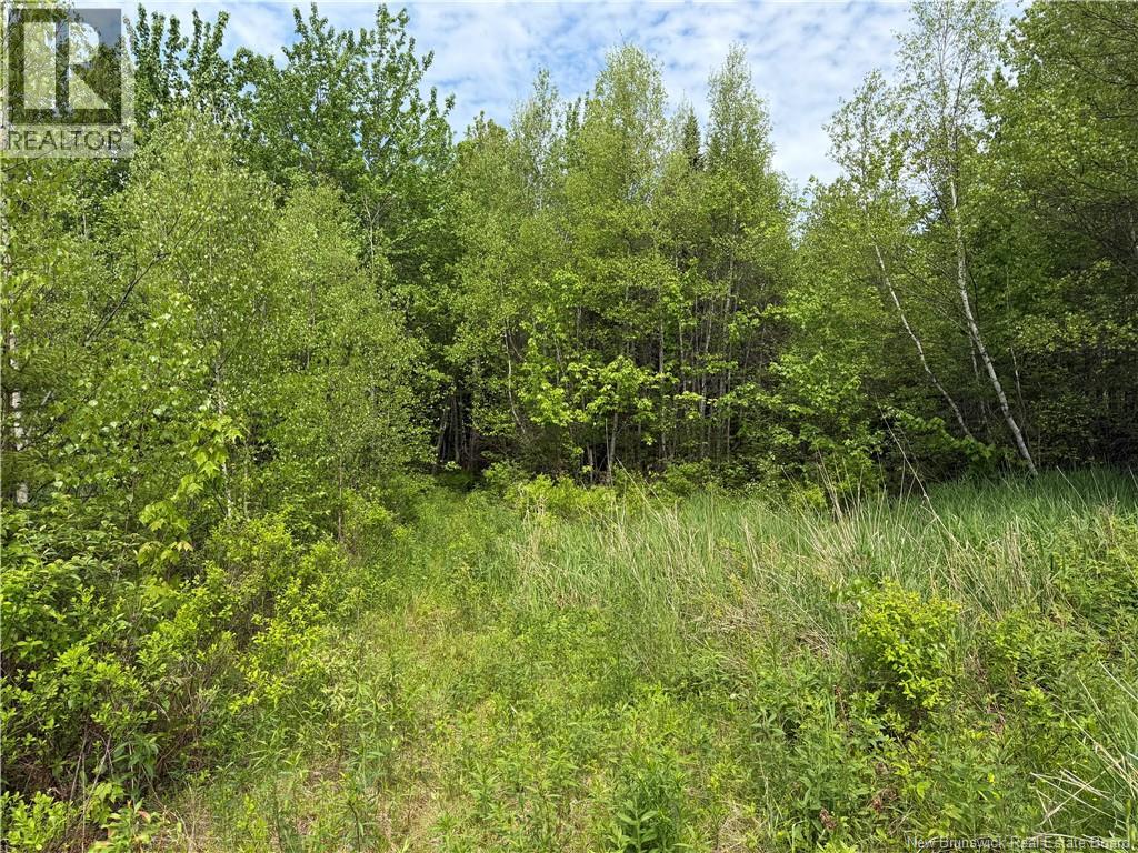 225 South Black River Road Property Photo 17