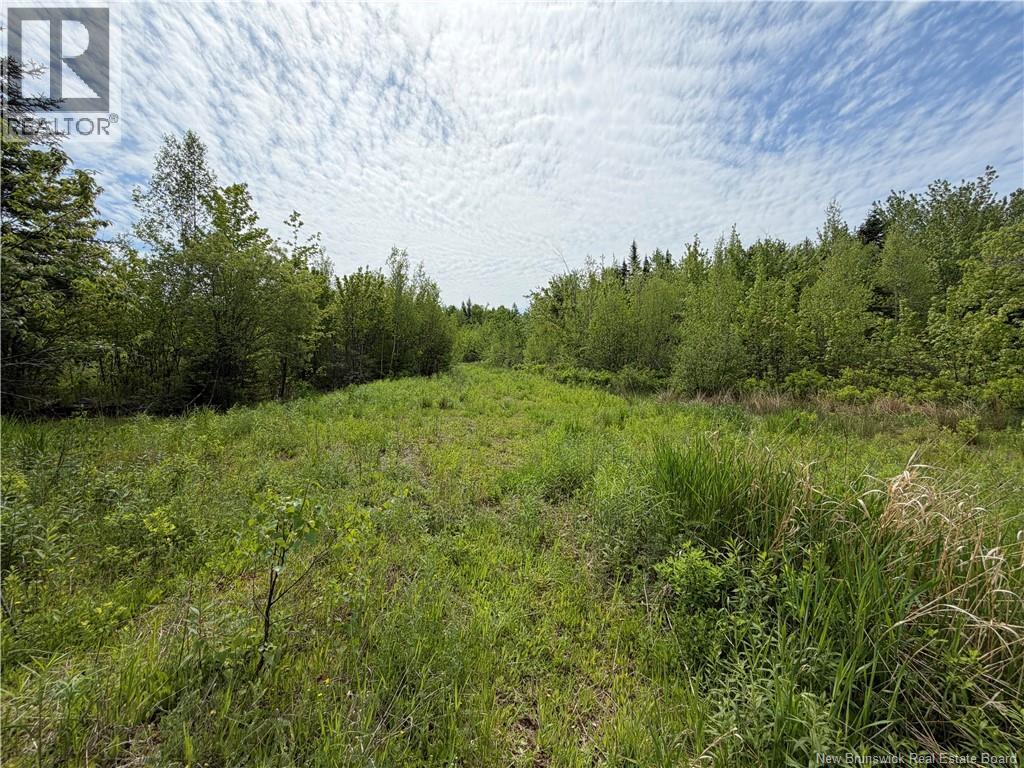 225 South Black River Road Property Photo 18
