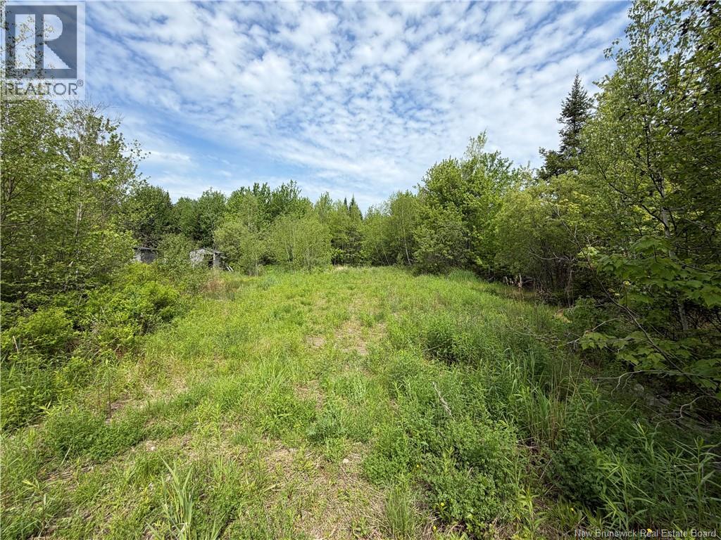225 South Black River Road Property Photo 19