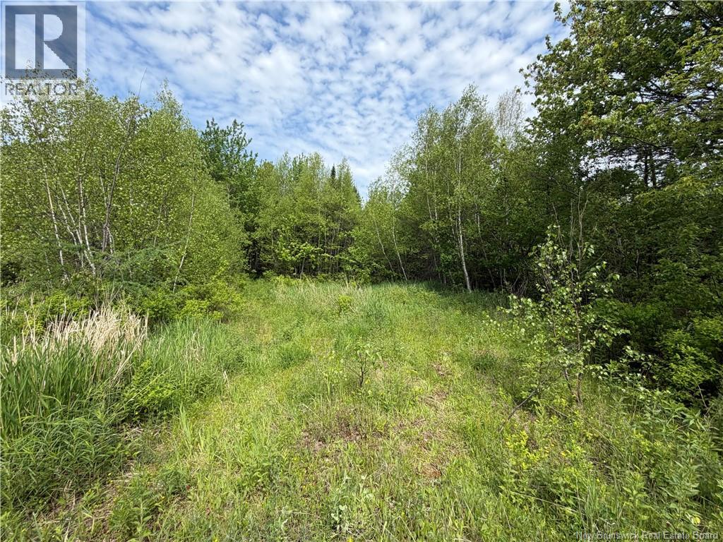 225 South Black River Road Property Photo 20