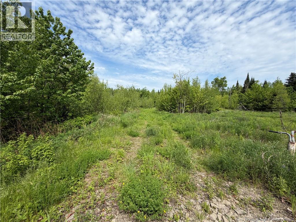 225 South Black River Road Property Photo 22