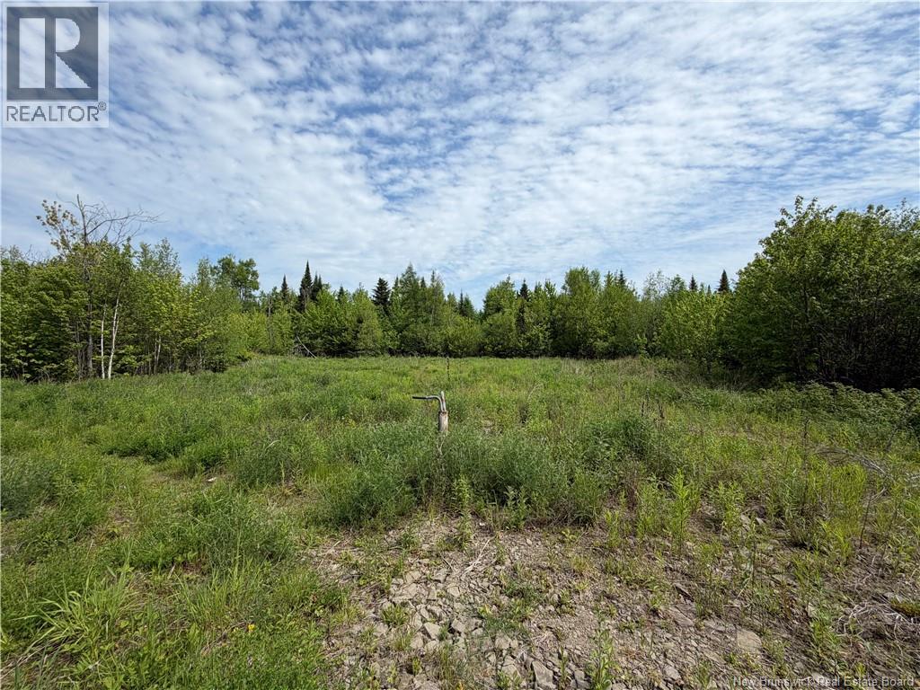 225 South Black River Road Property Photo 23