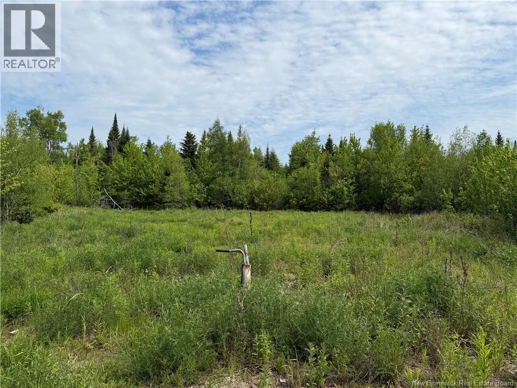 225 South Black River Road Property Photo 24