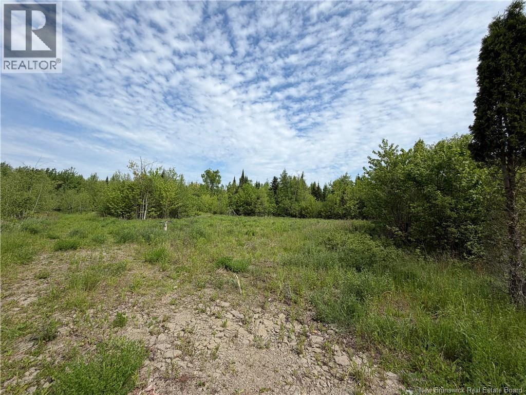225 South Black River Road Property Photo 25