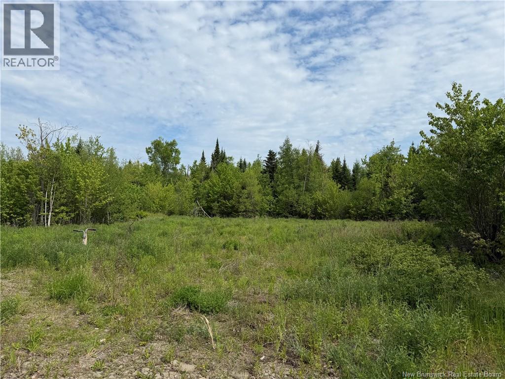 225 South Black River Road Property Photo 26