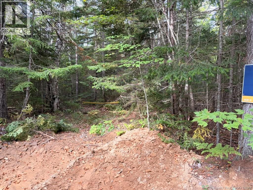 Steeves Lot Green Road Property Photo 1