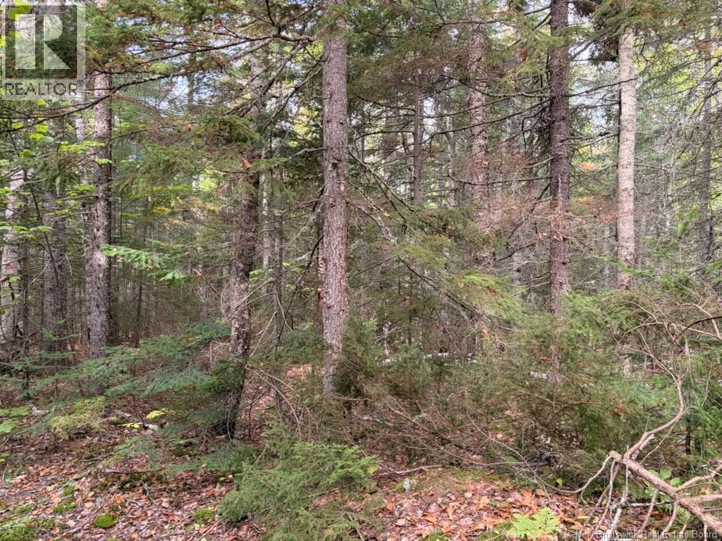Steeves Lot Green Road Property Photo 2