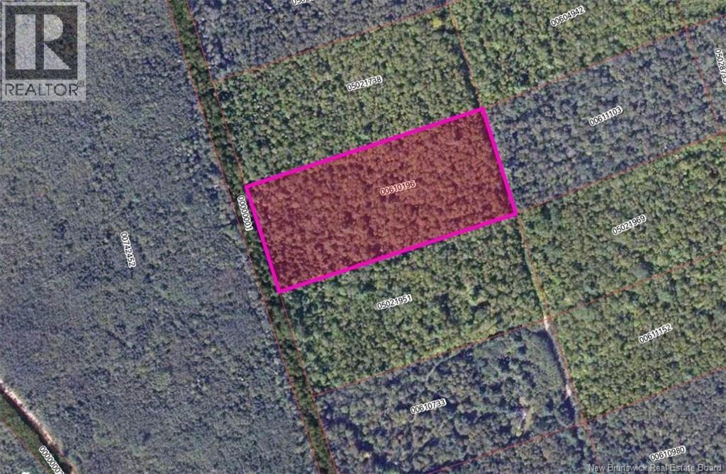 Steeves Lot Green Road Property Photo 4