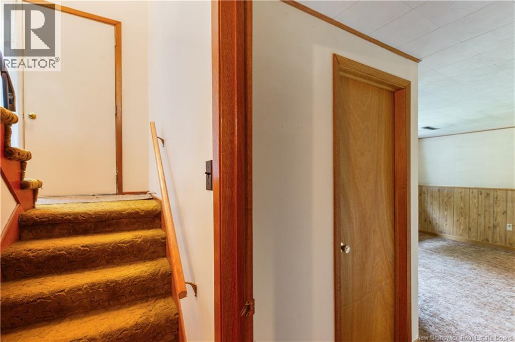 27 Brewster Street Property Photo 23