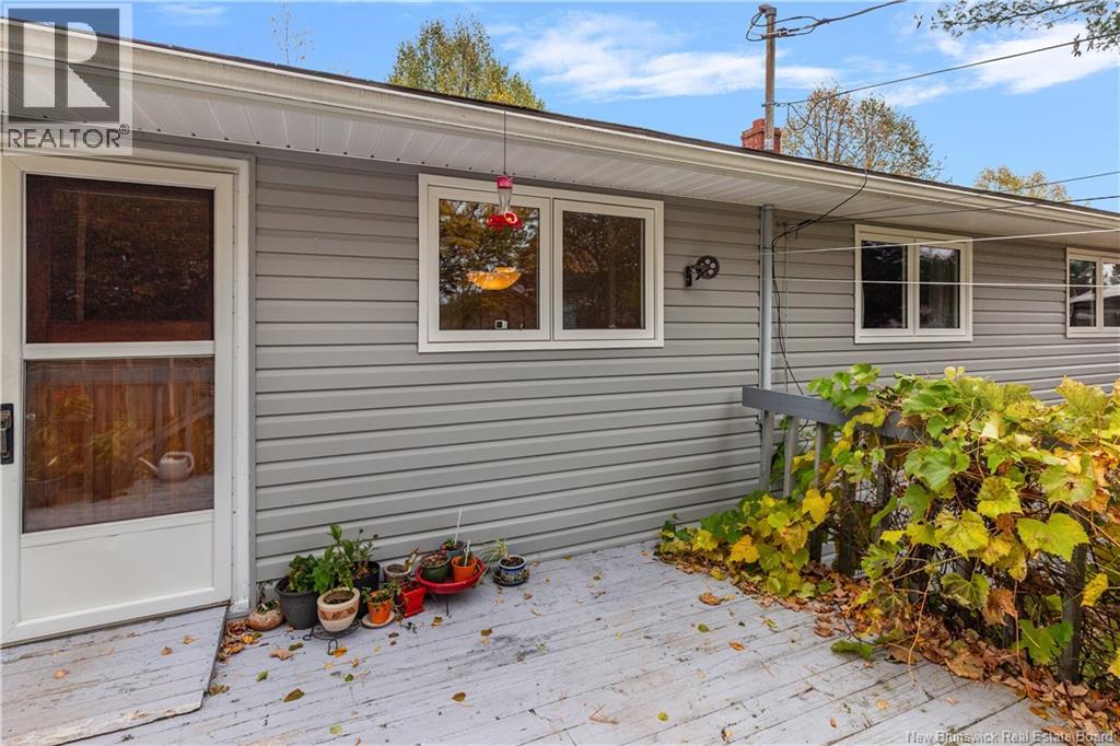 27 Brewster Street Property Photo 33