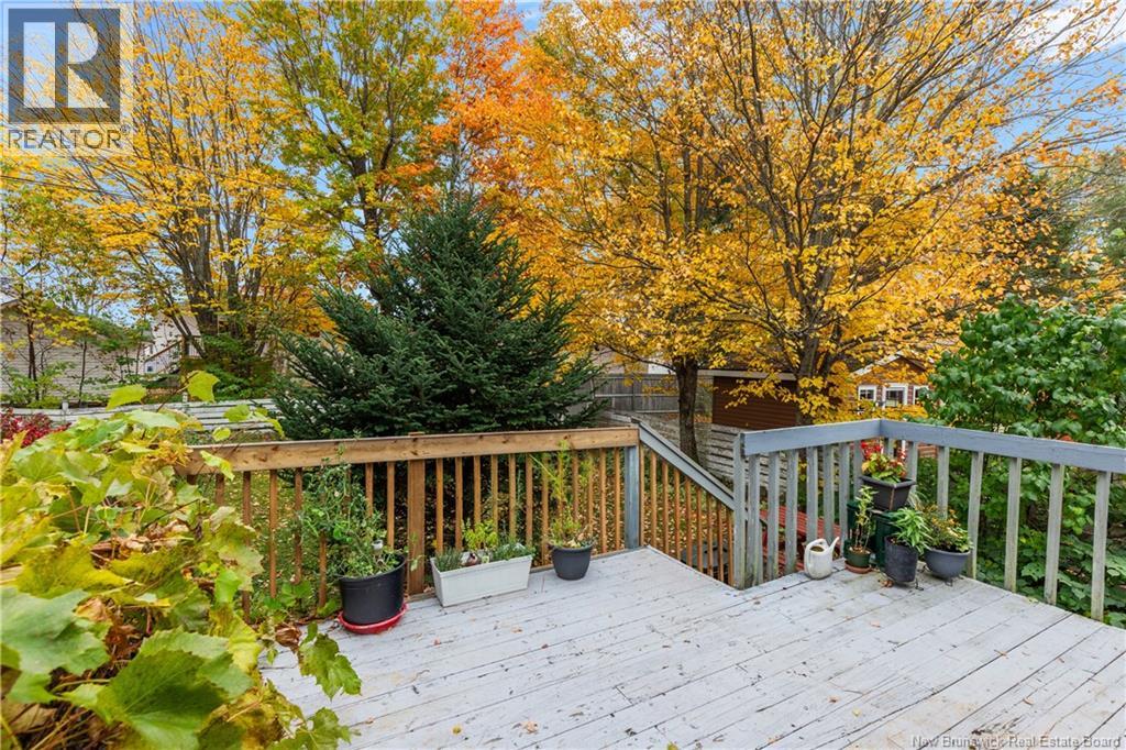 27 Brewster Street Property Photo 34