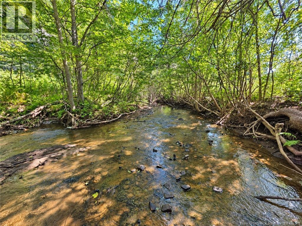6865 Route 134 Property Photo 6