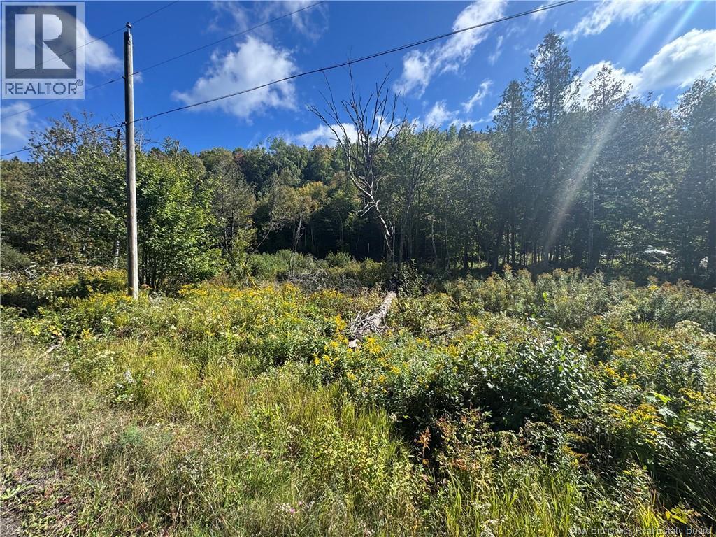 Frye Road Property Photo 1