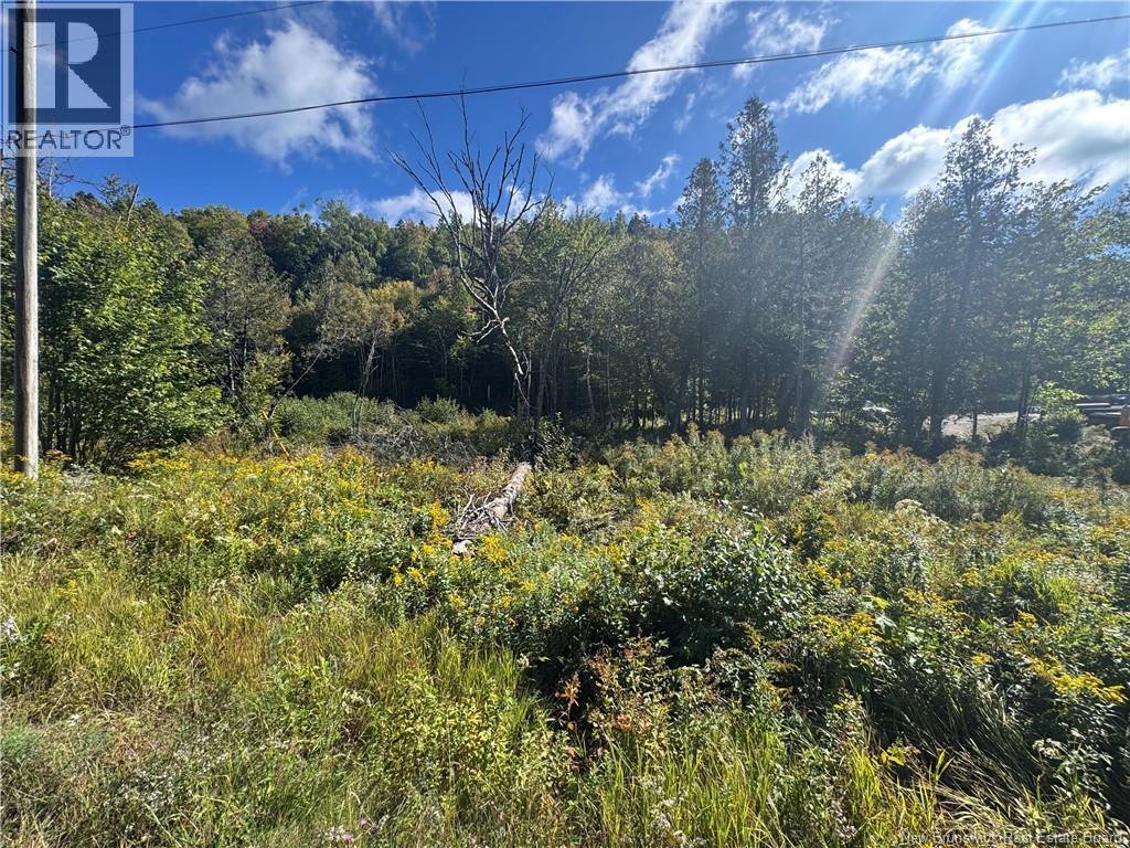 Frye Road Property Photo 2