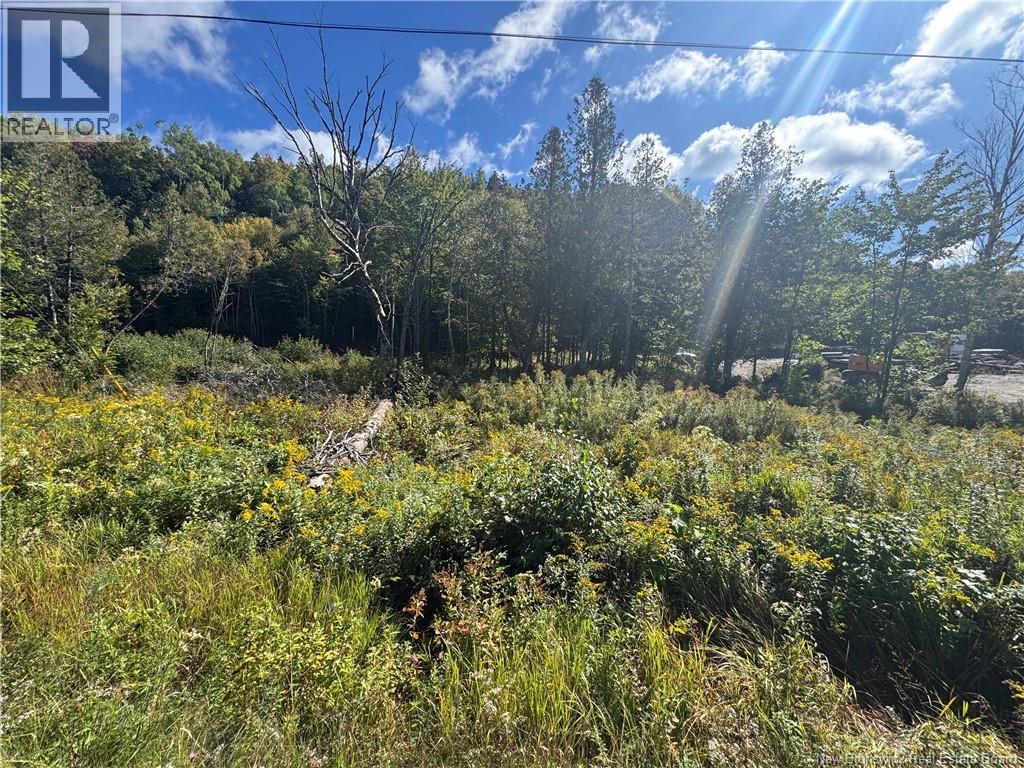 Frye Road Property Photo 3