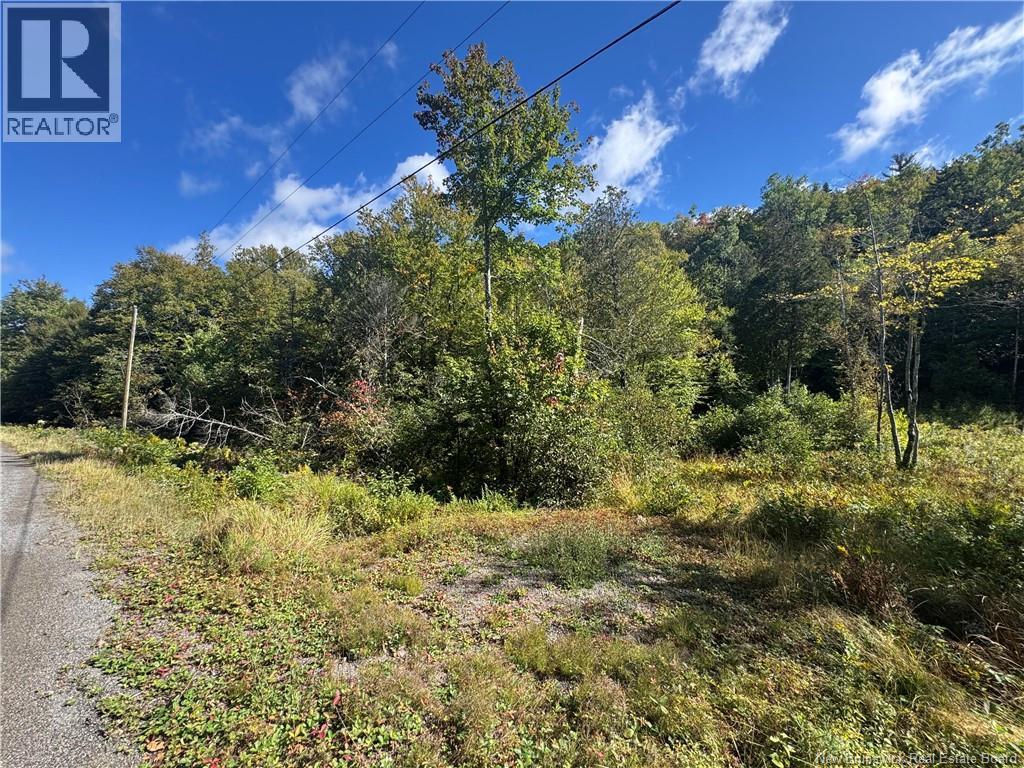 Frye Road Property Photo 1