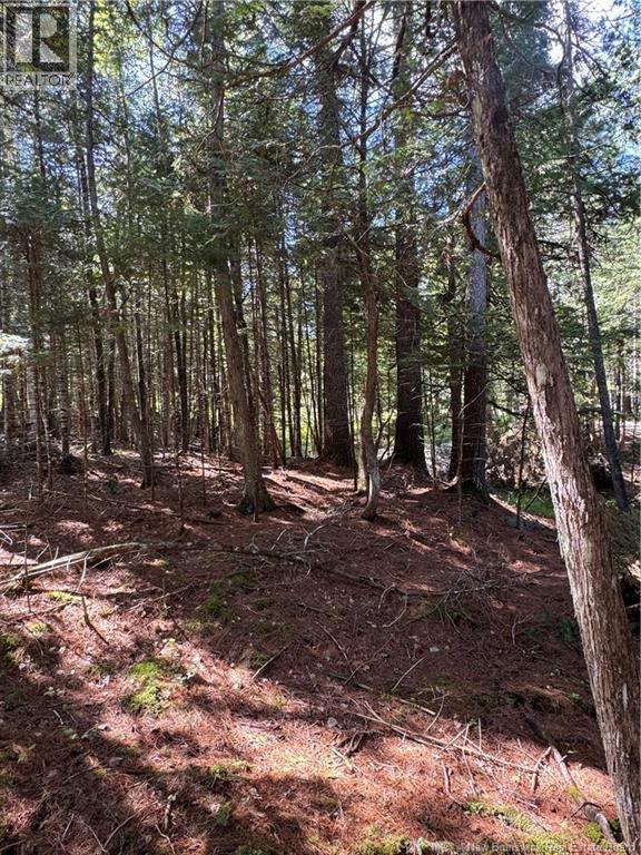 342 Tripp Settlement Road Property Photo 4