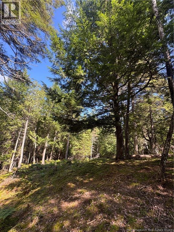 342 Tripp Settlement Road Property Photo 5