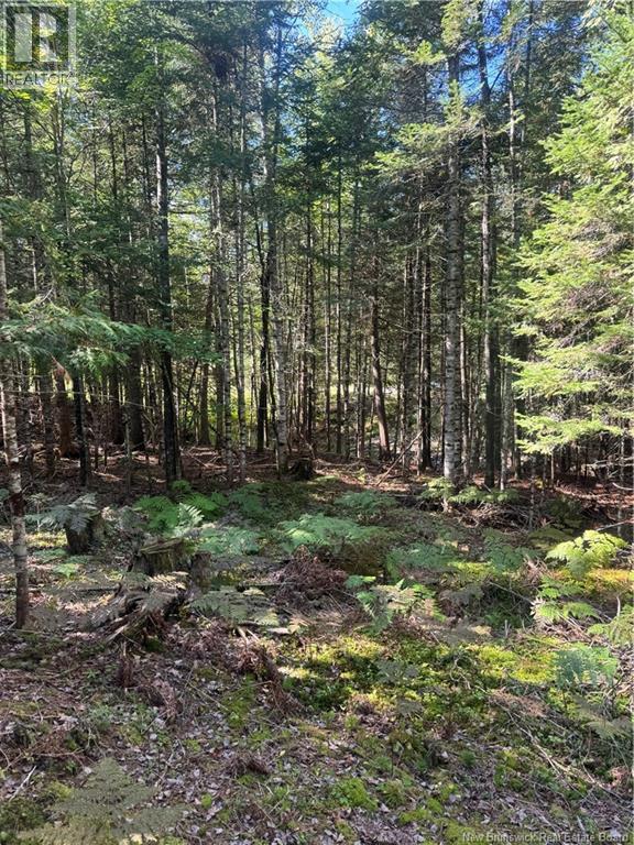 342 Tripp Settlement Road Property Photo 6