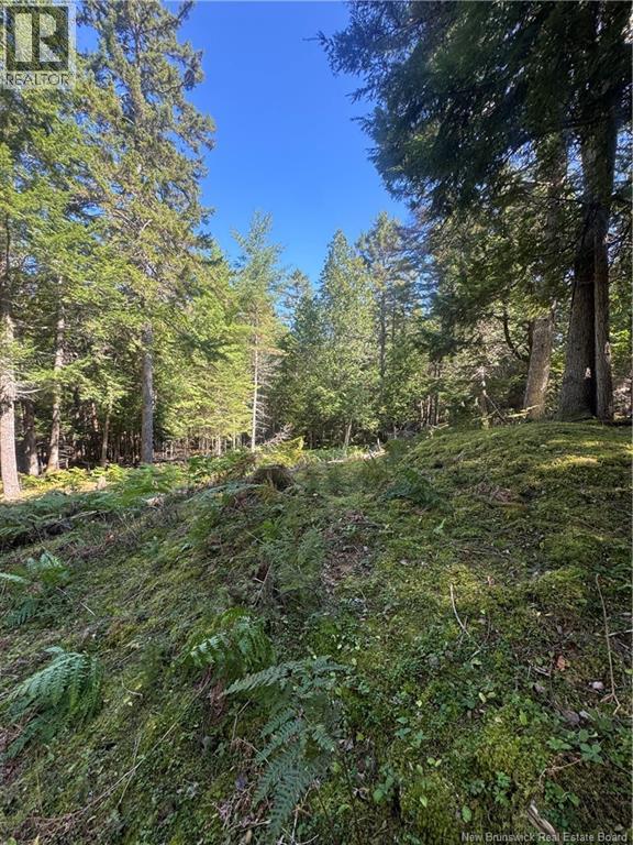 342 Tripp Settlement Road Property Photo 7
