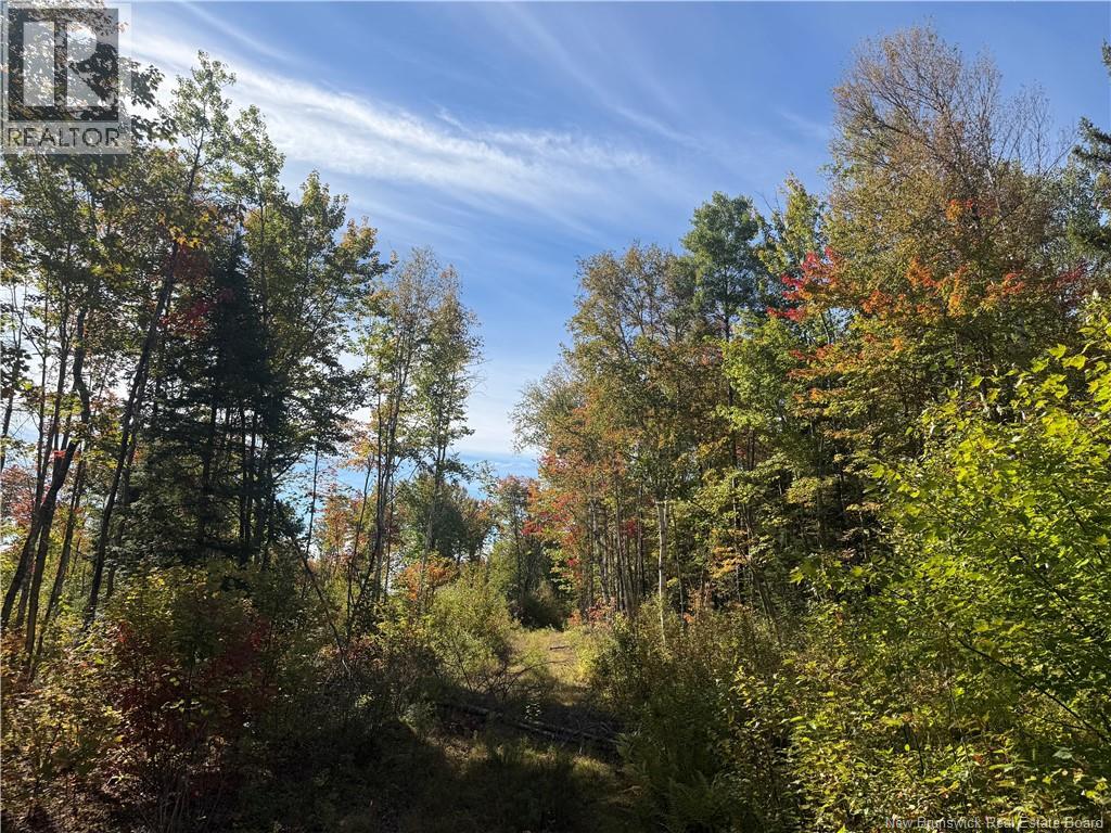 Lot Bettsburg Road Property Photo 1