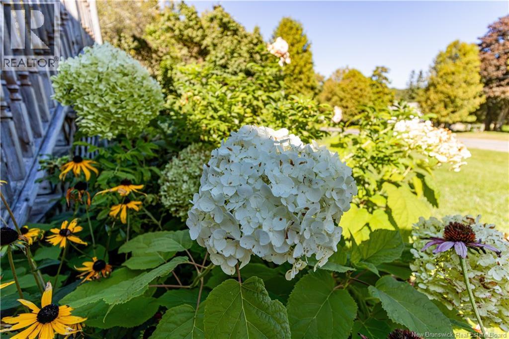 49 Yeomans Road Property Photo 41
