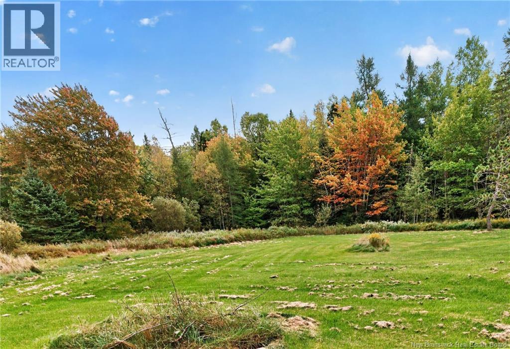 14 Salisbury Back Road Property Photo 24