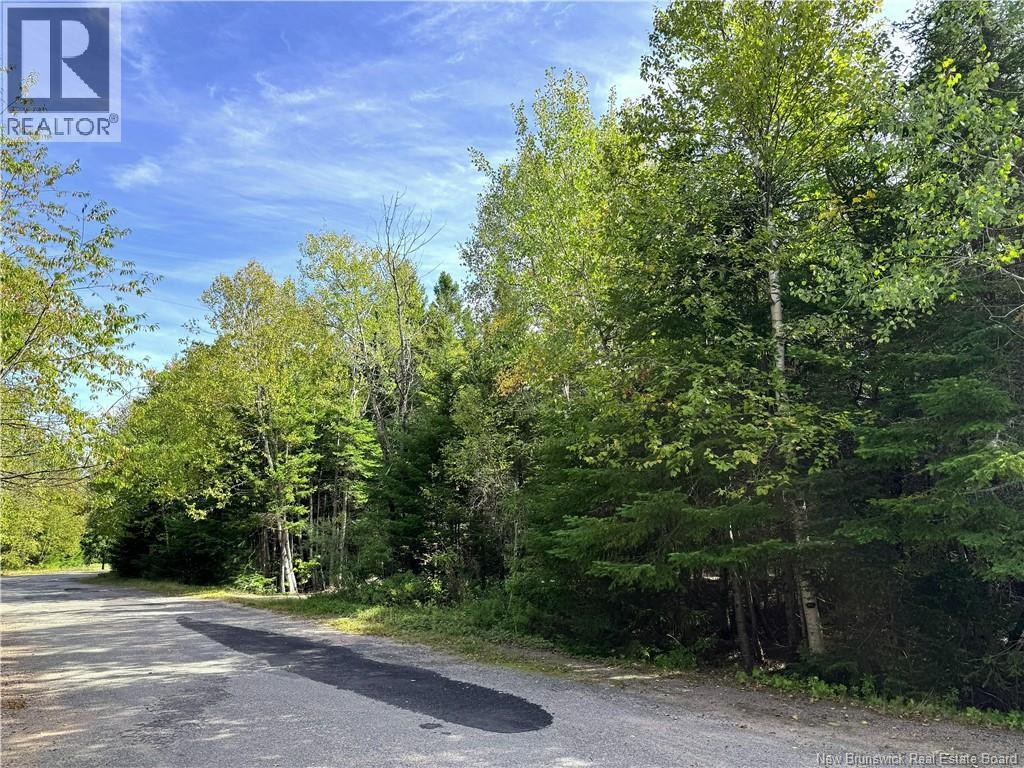 5 Spurline Avenue Property Photo 2